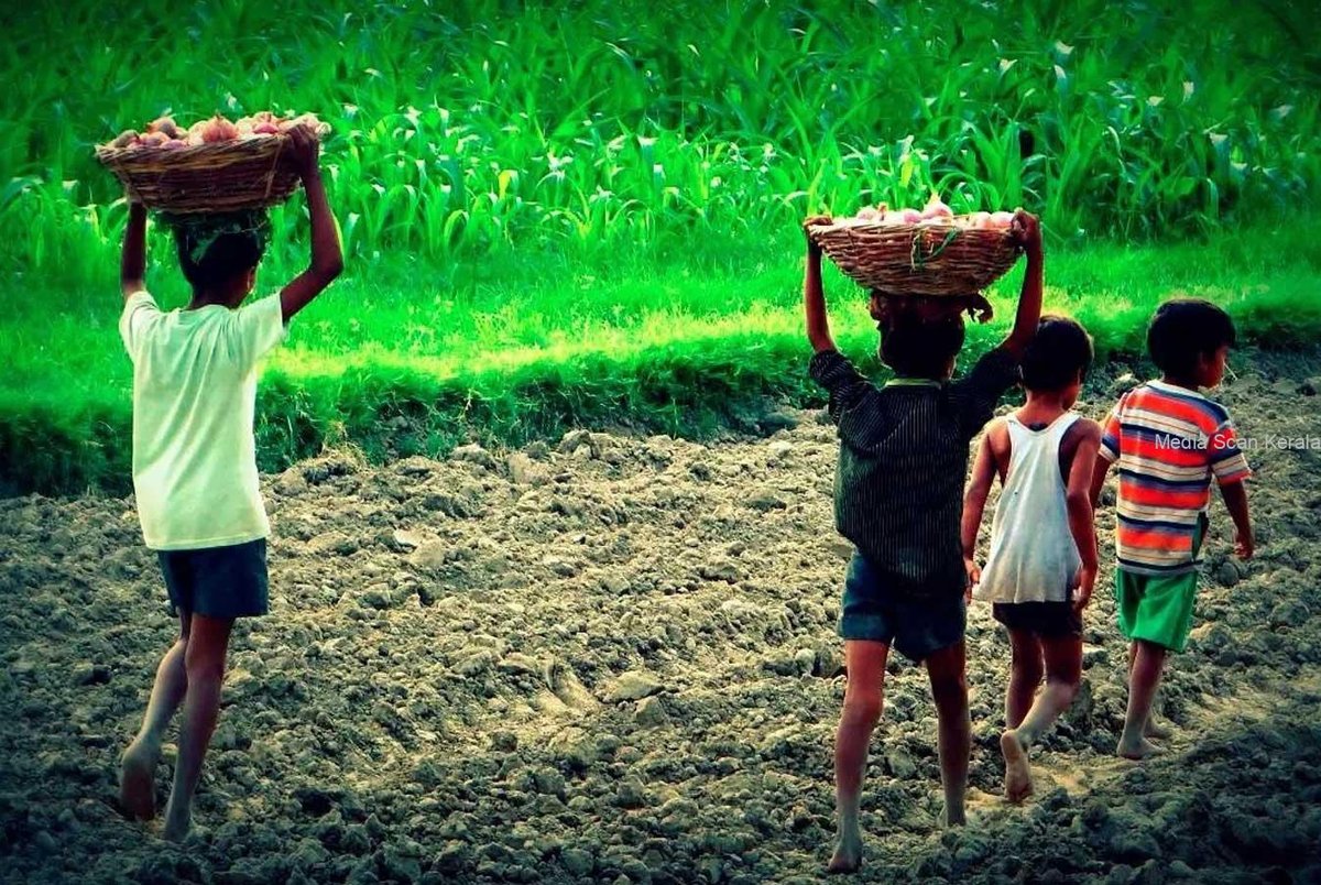 Breaking Barriers: Kerala’s Success in Reducing Child Labor Levels